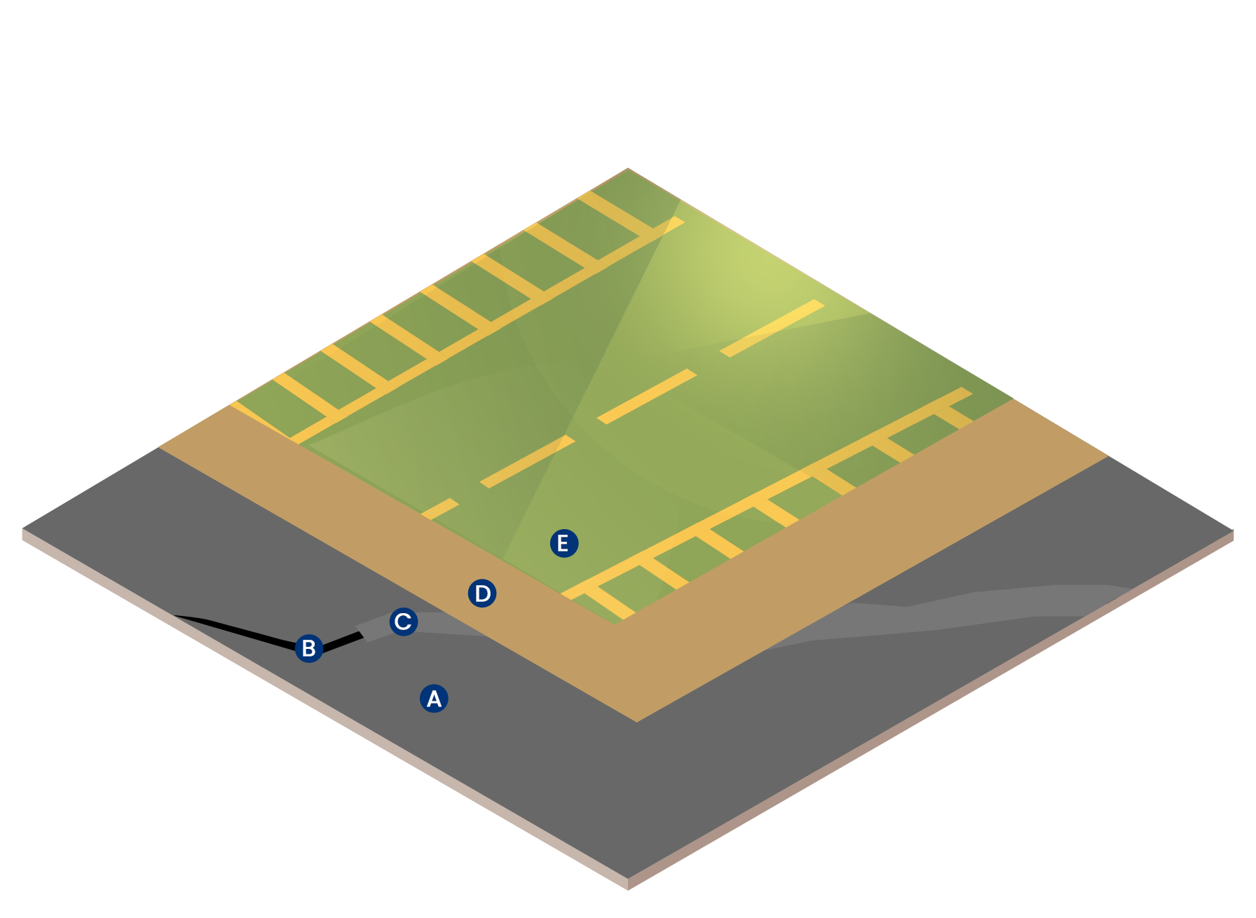 Illustration of waterproofing process with concrete and trees