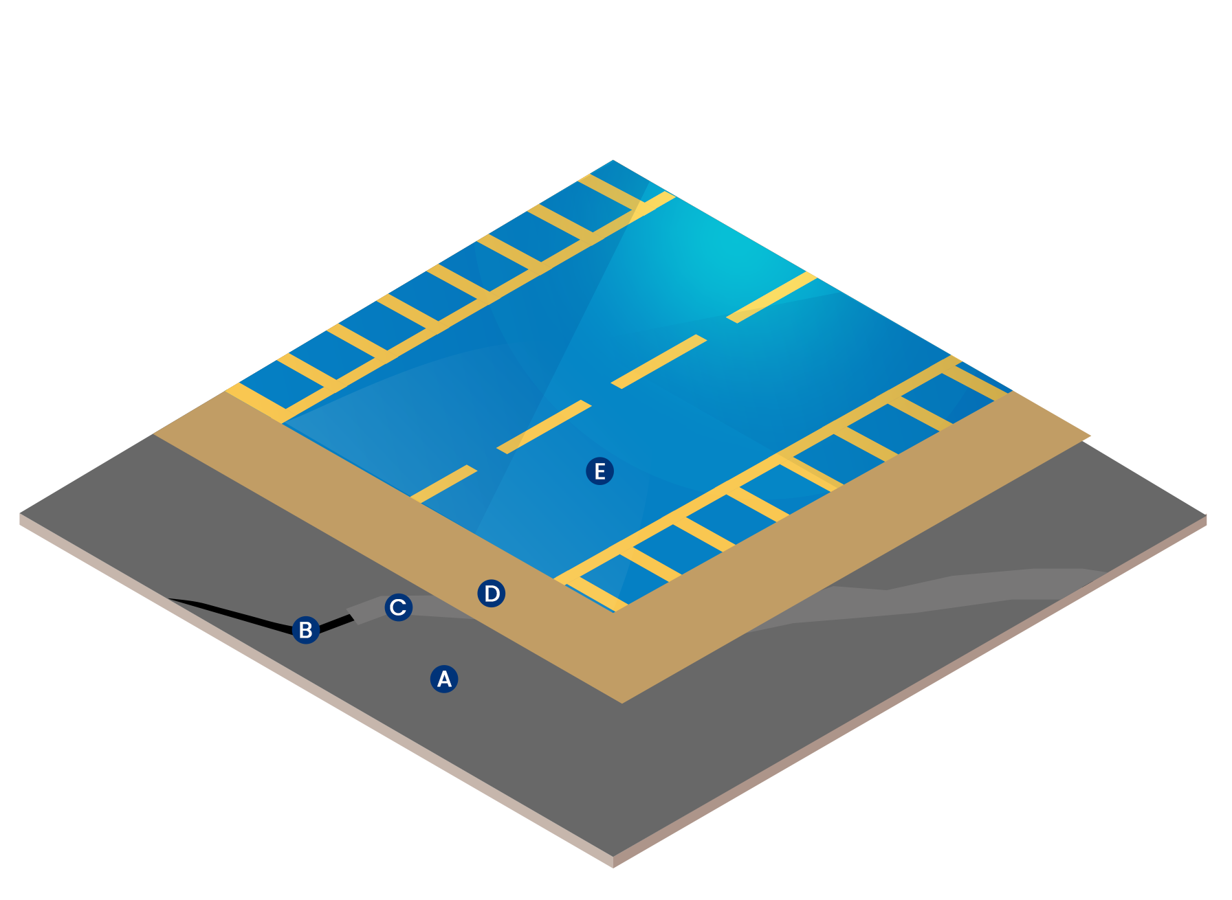 Illustration of waterproofing process with concrete and trees
